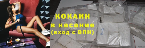 apvp Алзамай